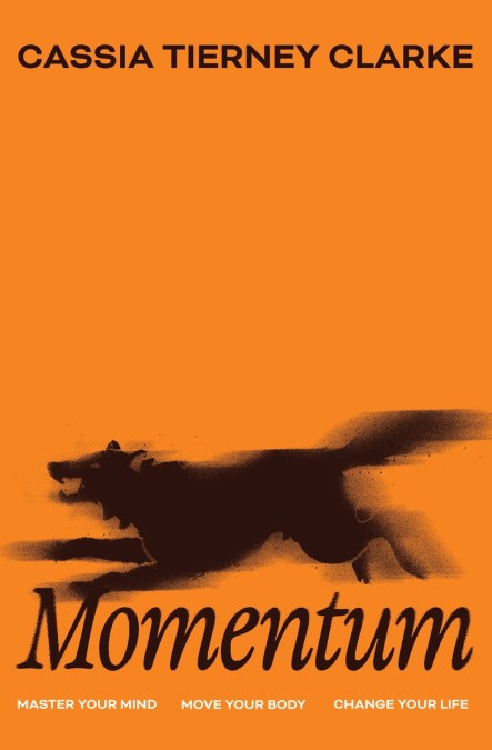 Momentum
