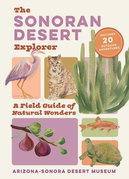 The Sonoran Desert Explorer