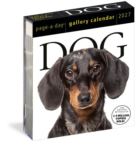 Dog Page-A-Day® Gallery Calendar 2027