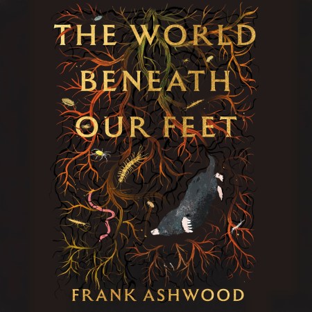The World Beneath Our Feet