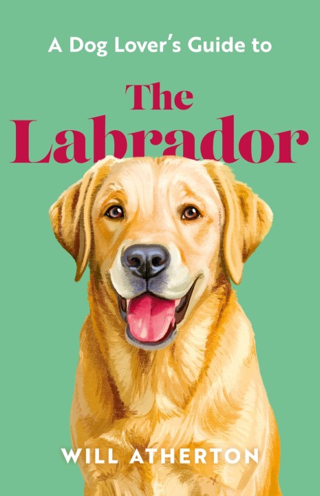 The Labrador