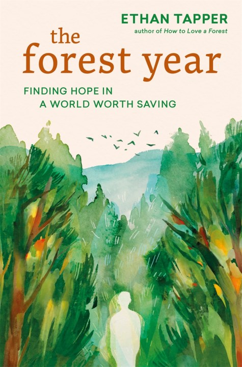 The Forest Year