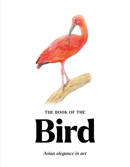 The Book of the Bird